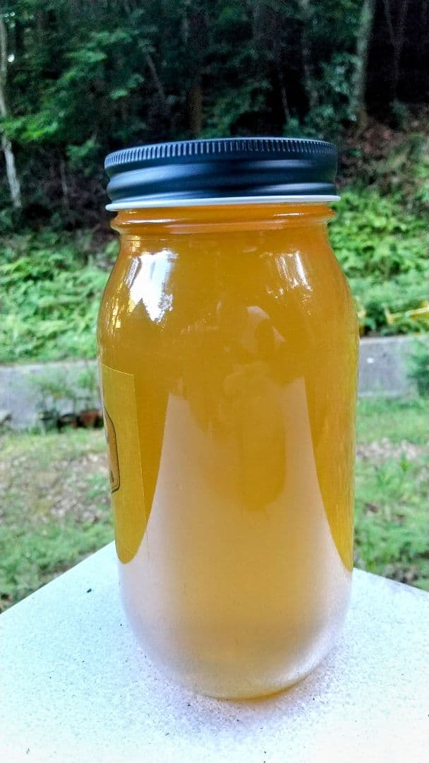 はちみつ 3kg 国産 天然 純粋 蜂蜜 3000g 【養蜂家直送】