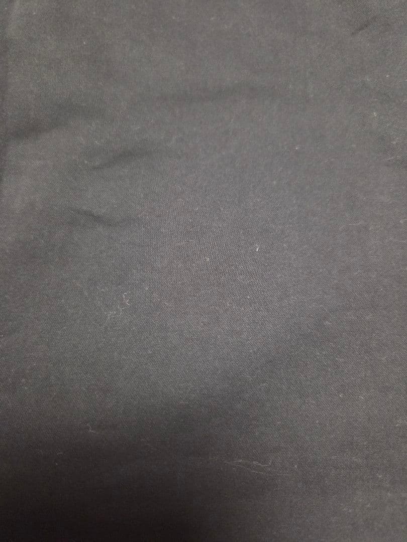 【新品】ピーティートリノ　GENTLEMAN　シルク混　チノパン　48　春秋冬