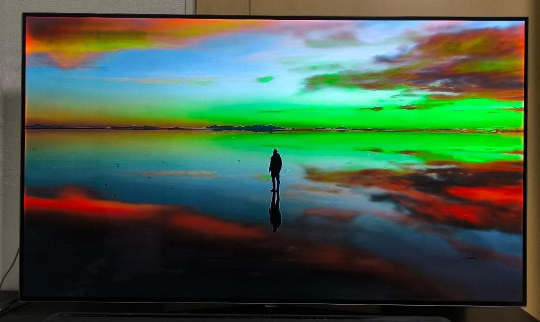 すし　4K有機EL55型テレビ　LG製OLED55B6P