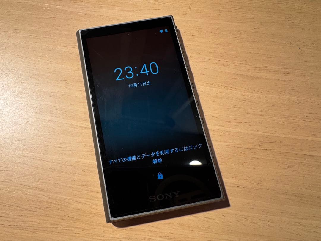 【動作良好・比較的美品】SONY WALKMAN NW-A106 32GB