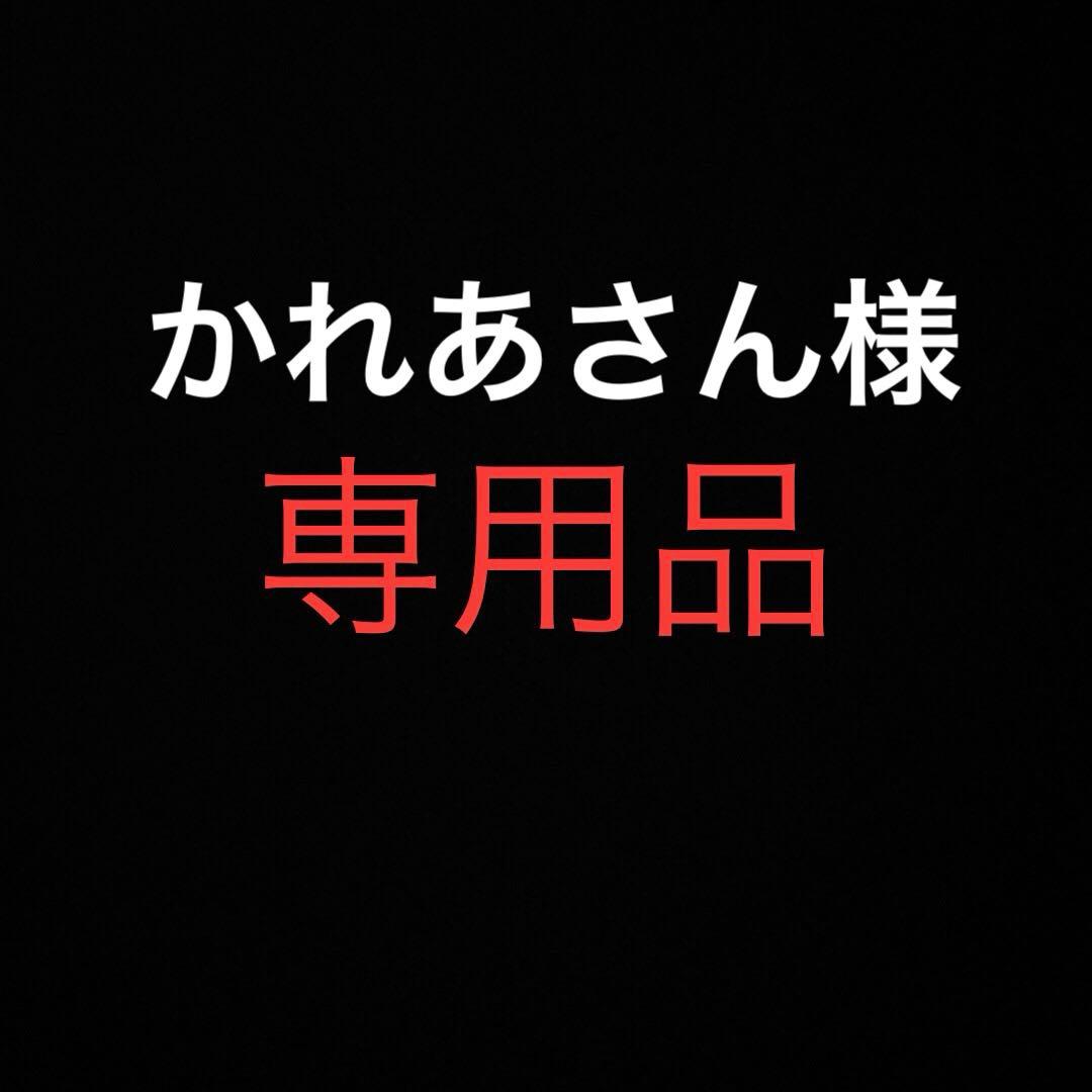Lサイズ！タグ付き！SSZ × Canterbury ラガーシャツ