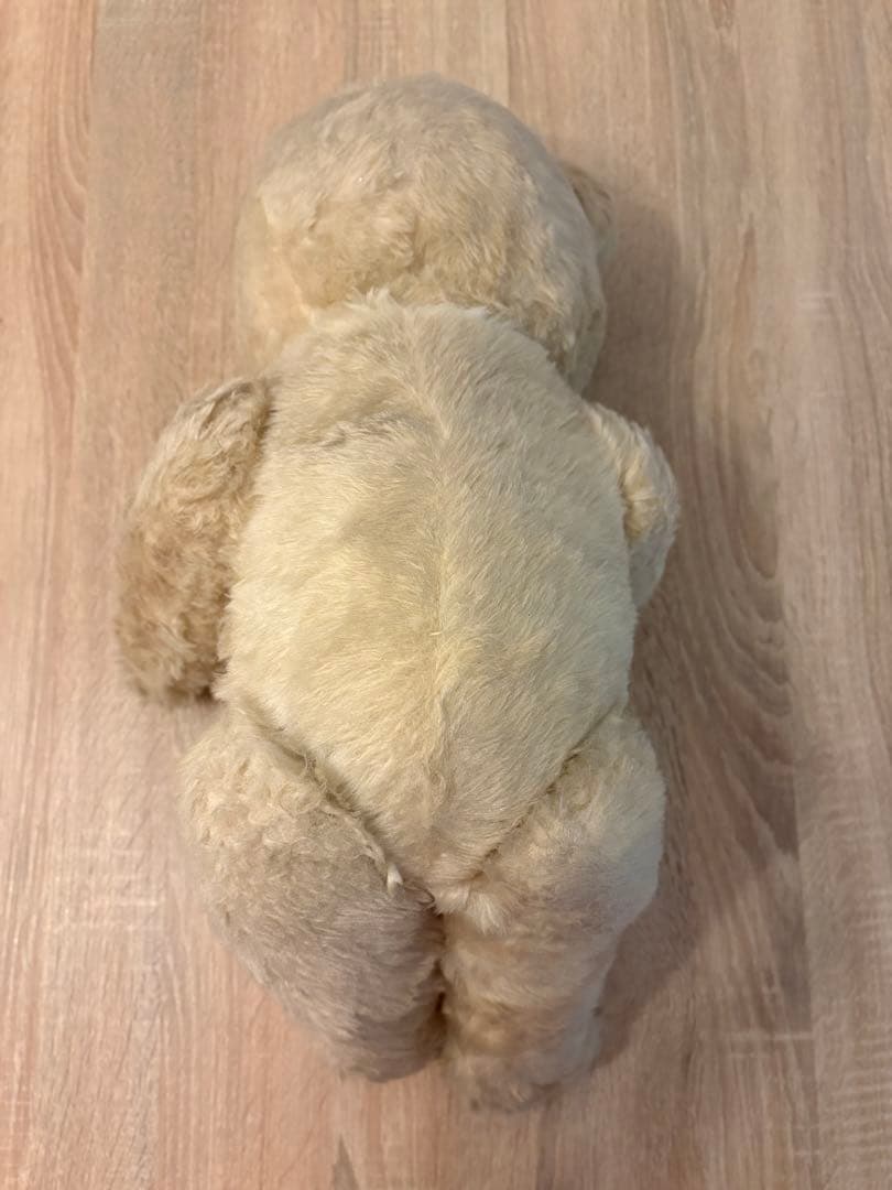 DDRベア　アンティーク