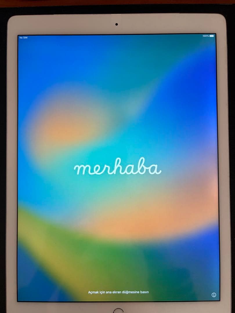 iPad Pro 12.9インチ　第1世代　Wi-Fiモデル　ケース、フィルム付