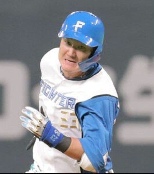 【レア】日本ハム　ファイターズ　渡邉　ホーム　ユニフォーム　ファナティクス　L