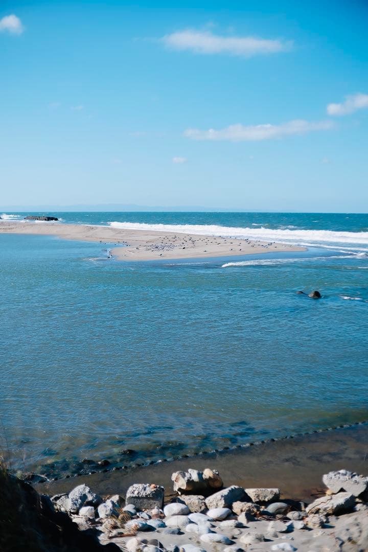 FUJIFILM用 SG-image AF 25mm F1.8 単焦点レンズ