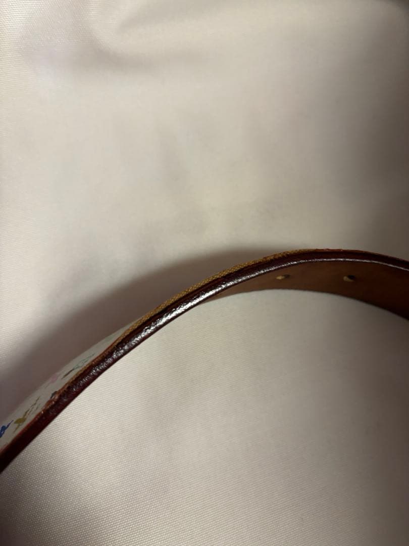 Louis Vuitton モノグラムマルチカラー ベルト