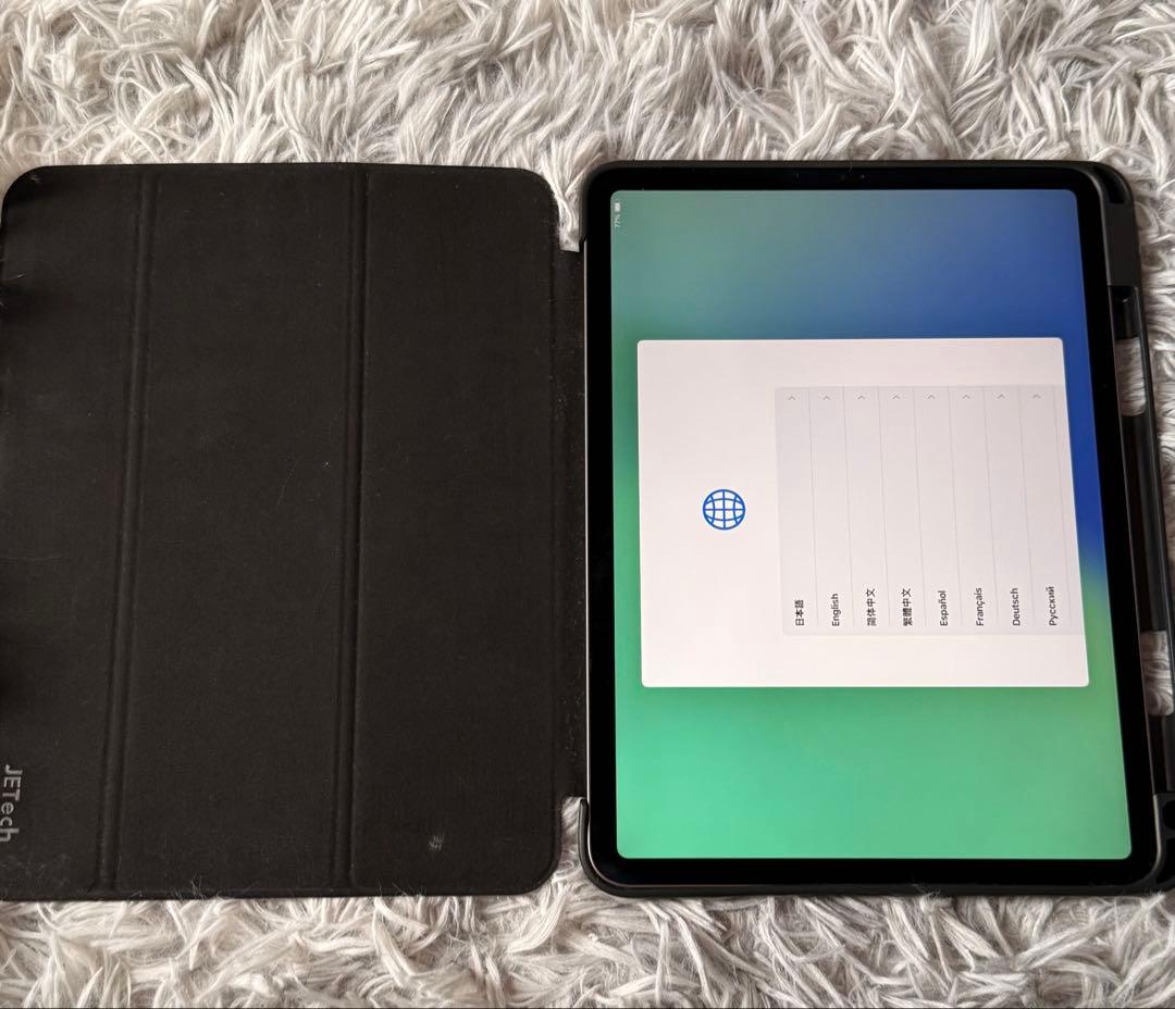 ipad pro 第1世代 256GB 11インチ バッテリー100% ＋おまけ