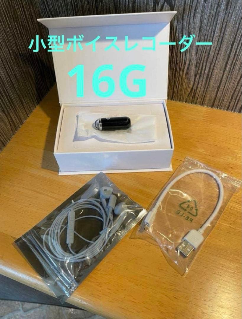 その他 professional digital voice recorder 16GB