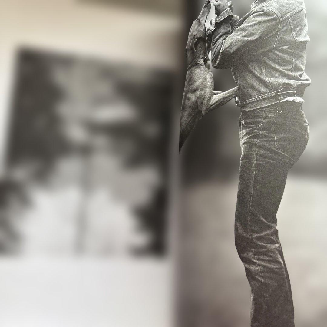 洋書 GOLDEN RETRIEVER PHOTOGRAPHIC SOCIEYT