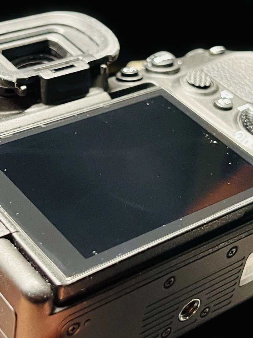 SONY α7Sⅲ ILCE-7SM3 撮影回数637枚 アクセサリー付き