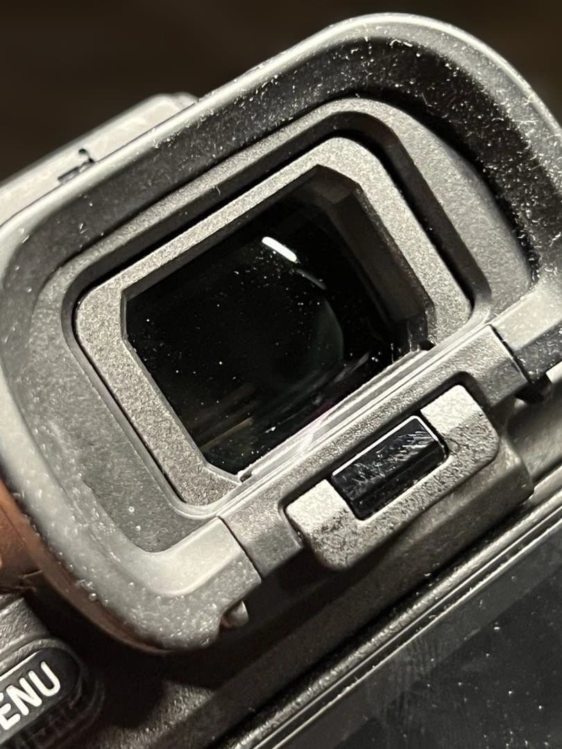 SONY α7Sⅲ ILCE-7SM3 撮影回数637枚 アクセサリー付き