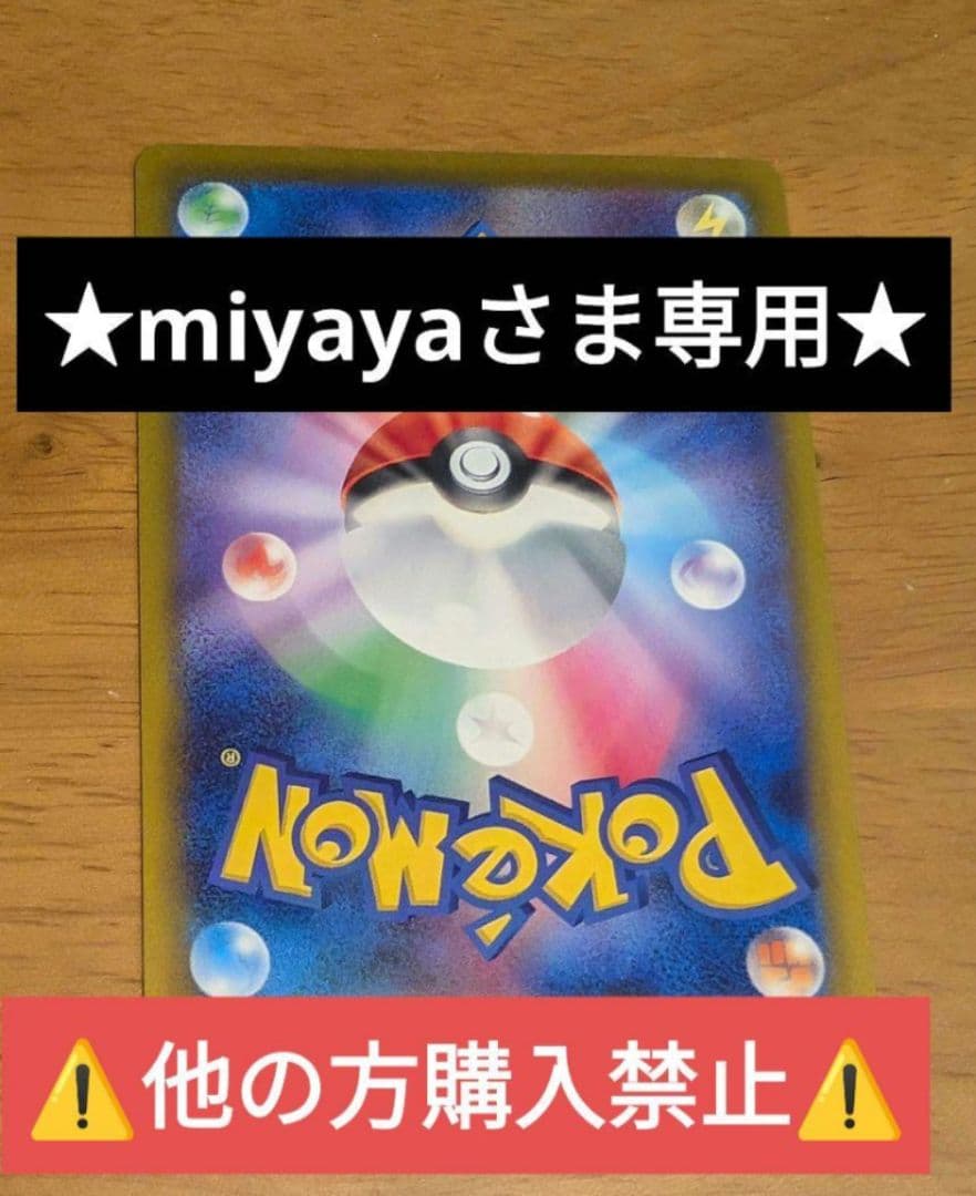 ★miyayaさま専用★⚠️他の方購入禁止⚠️