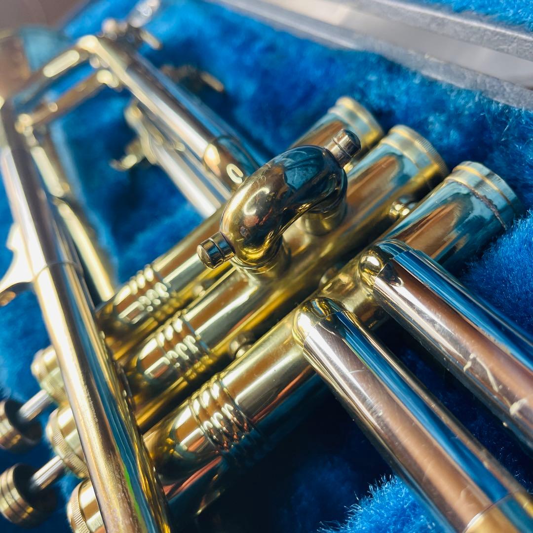 Hüttl ヒュッテル HUTTL LINE 800 トランペット ピストン動確