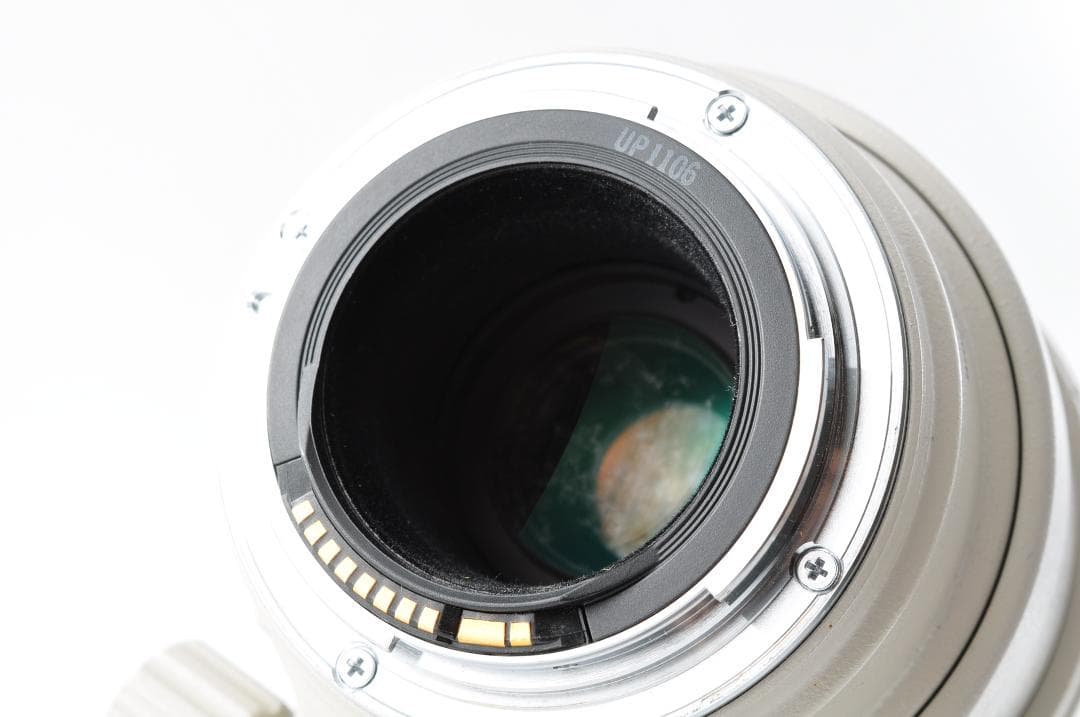 レンズ(ズーム) Canon EF 100-400mm F/4.5-5.6 L IS #1317