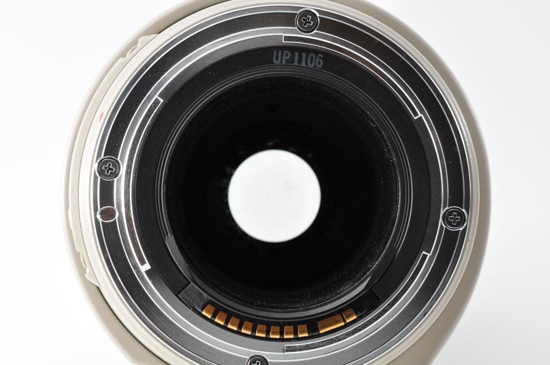 レンズ(ズーム) Canon EF 100-400mm F/4.5-5.6 L IS #1317