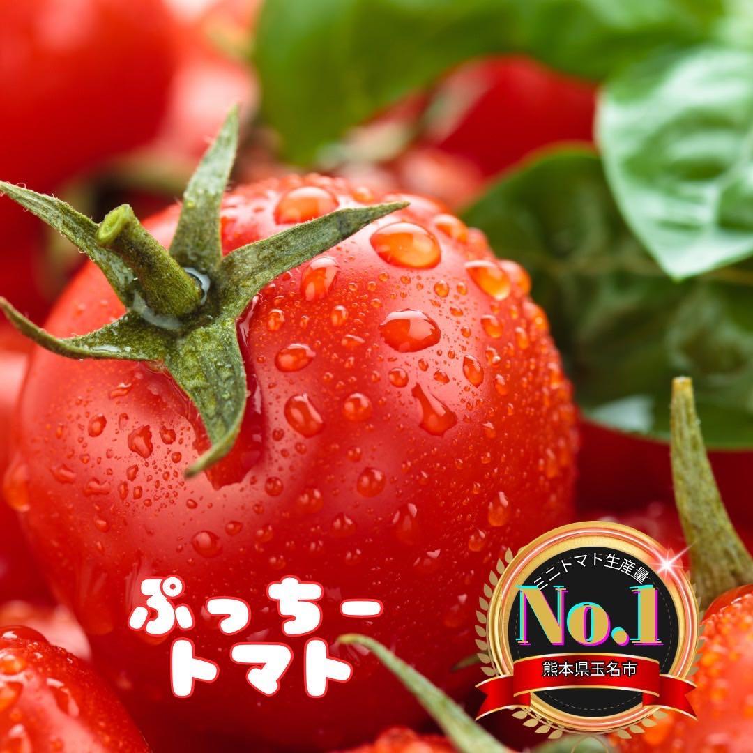 ミニトマト　9キロ　野菜　熊本　おやつ　弁当　おかず　ミネラル　リコピン