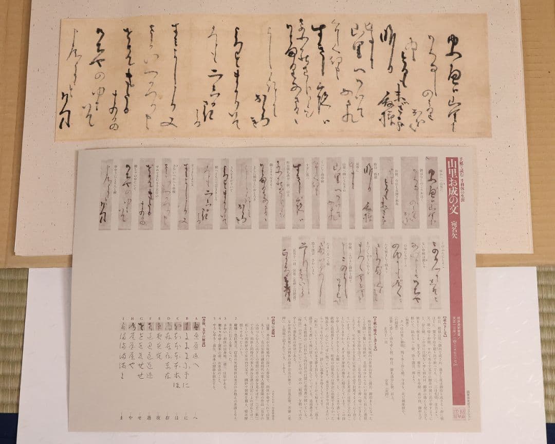 手紙で読む 千利休の生涯 國寶倶楽部 全12種揃 熊倉功夫 筒井紘一【MA858