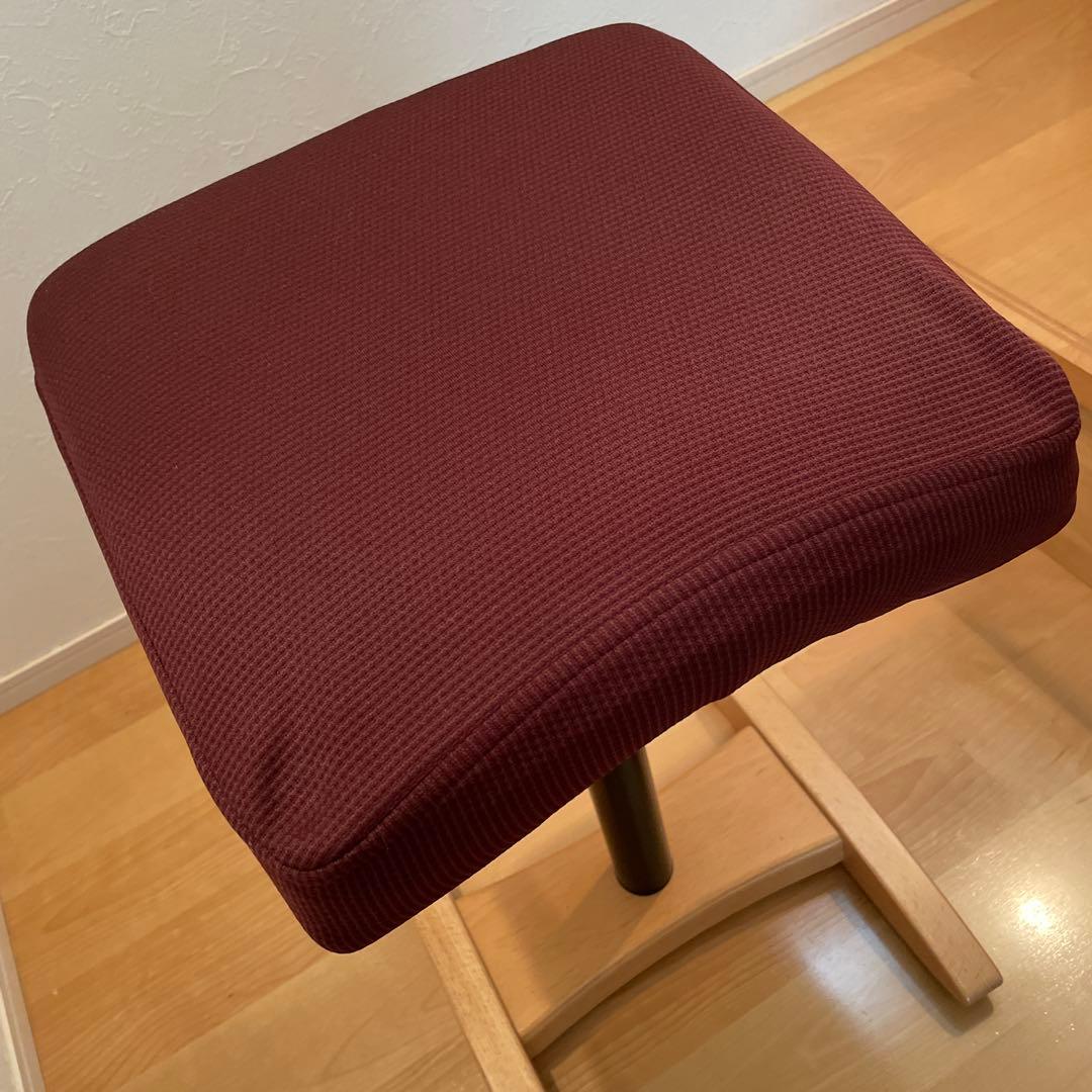 Balans Synergy バランスシナジー　スクエアシート　専用カバー付