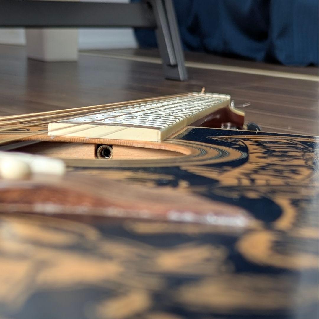 Elioth製カスタムフォークギター