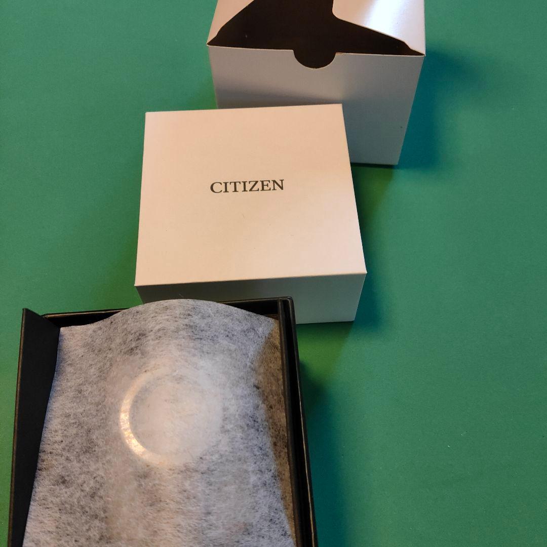 CITIZEN Eco-Drive レディース バンド替えメンズ使用できます。