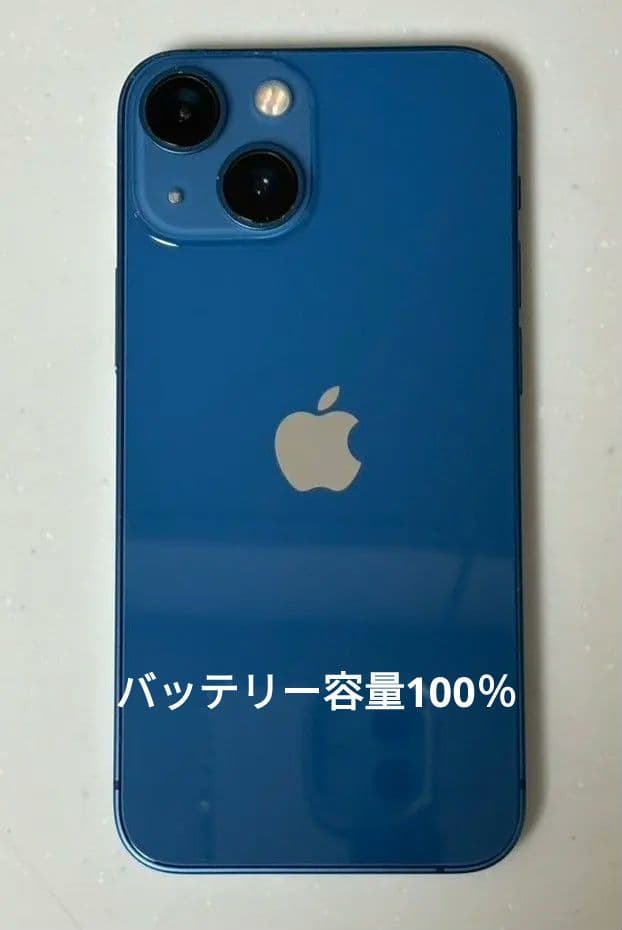 Apple iPhone 13 バッテリー容量100％　オマケ付き