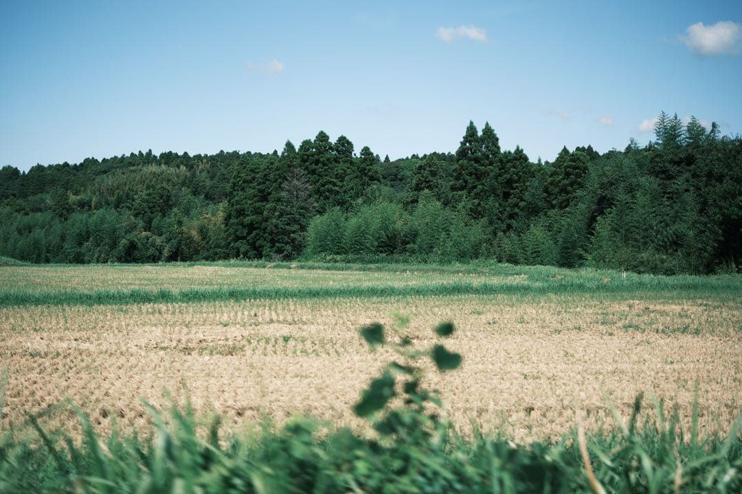 xf23mmf2.8 r wr シルバー