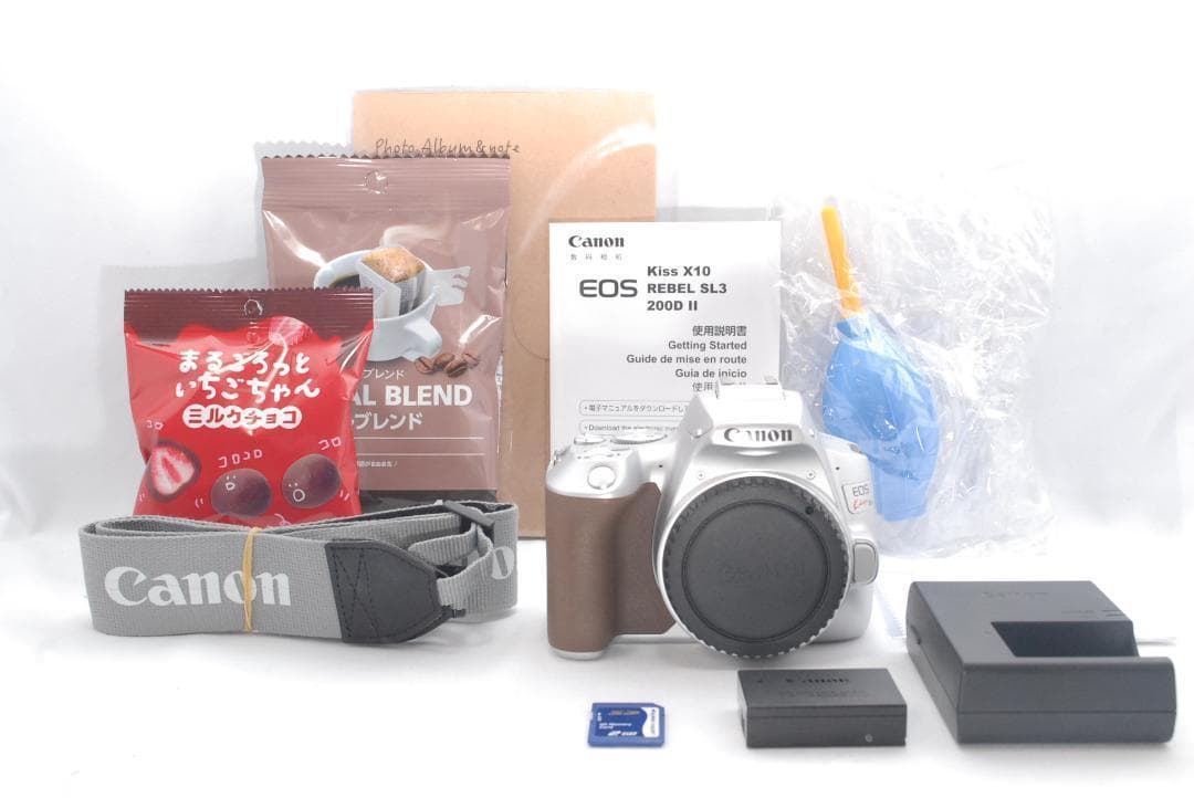 Wi-Fi機能付き✨Canon　kiss　X10　シルバー　ボディのみ　一眼レフ