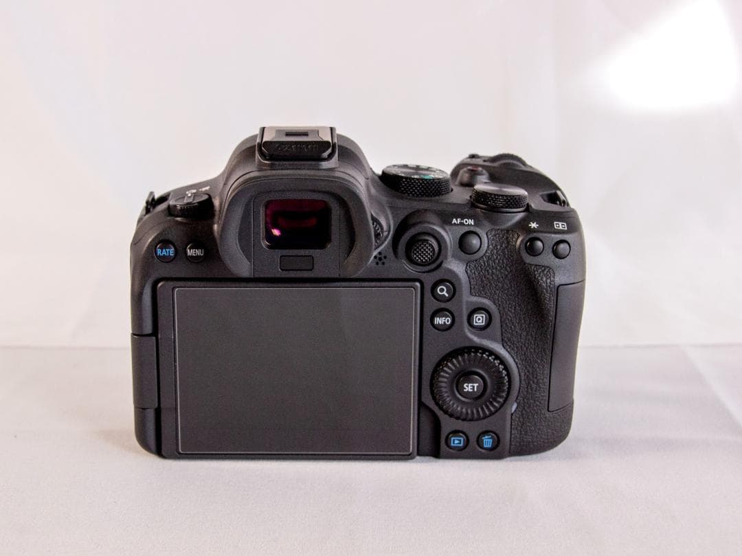 【美品】Canon EOS R6 Mark II｜おまけ多数