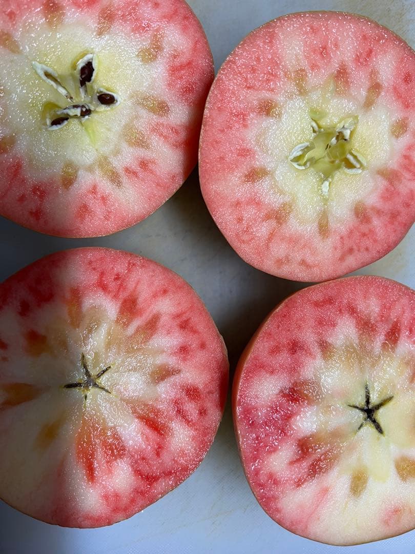 さくら出品ムーンルージュ②