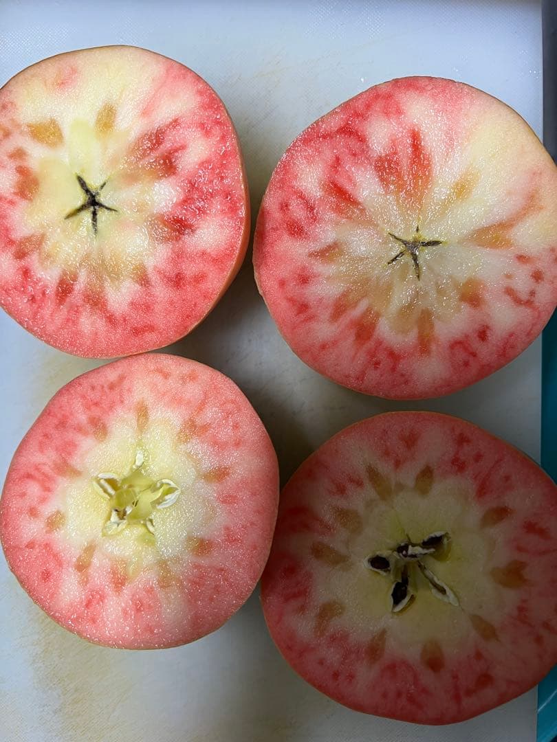 さくら出品ムーンルージュ②