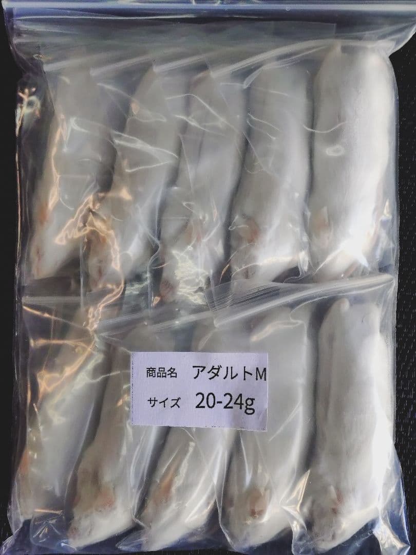 賈琦様冷凍ファジー10匹ファジーS 30匹アダルトM 10匹フタホシ200グラム