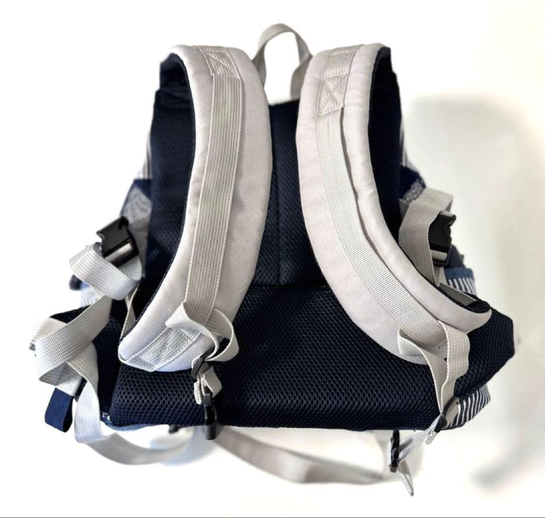 Lee 犬 リュック キャリーバッグ