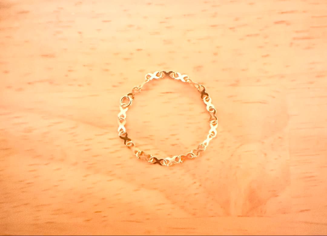 SHISHIKUI シシクイ XR Xチェーンリング Ｌ