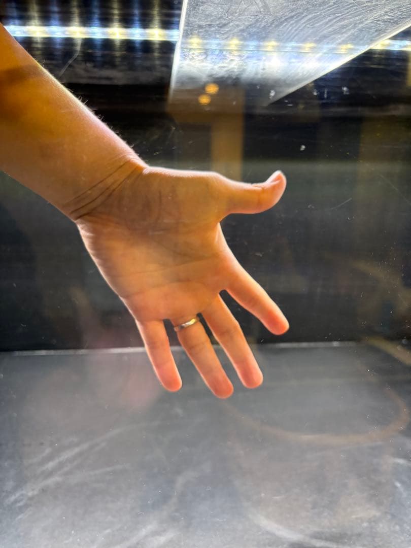 AQUA　　引取限定　カンテツ水槽 上下2段セット　東京練馬区