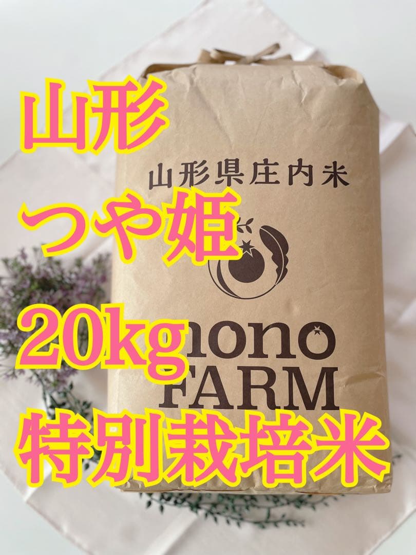 つや姫　20kg 令和7年　山形　特別栽培米