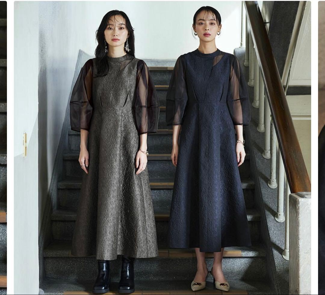 RUIRUE BOUTIQUE シアーランタンスリーブふくれジャカードドレス3L