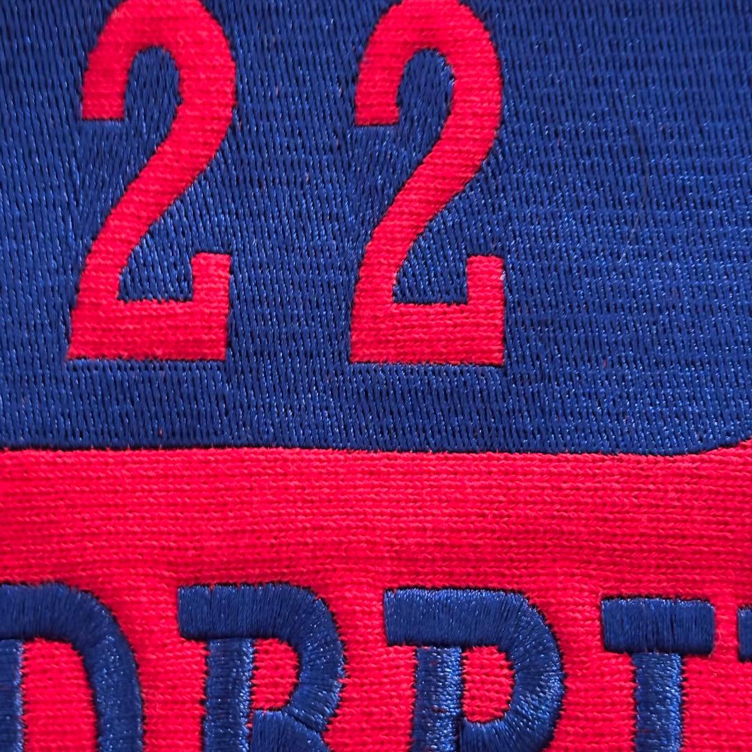 【刺繍ロゴ】チャンピオンスウェット リバースウィーブ L 青タグ 赤 70s復刻