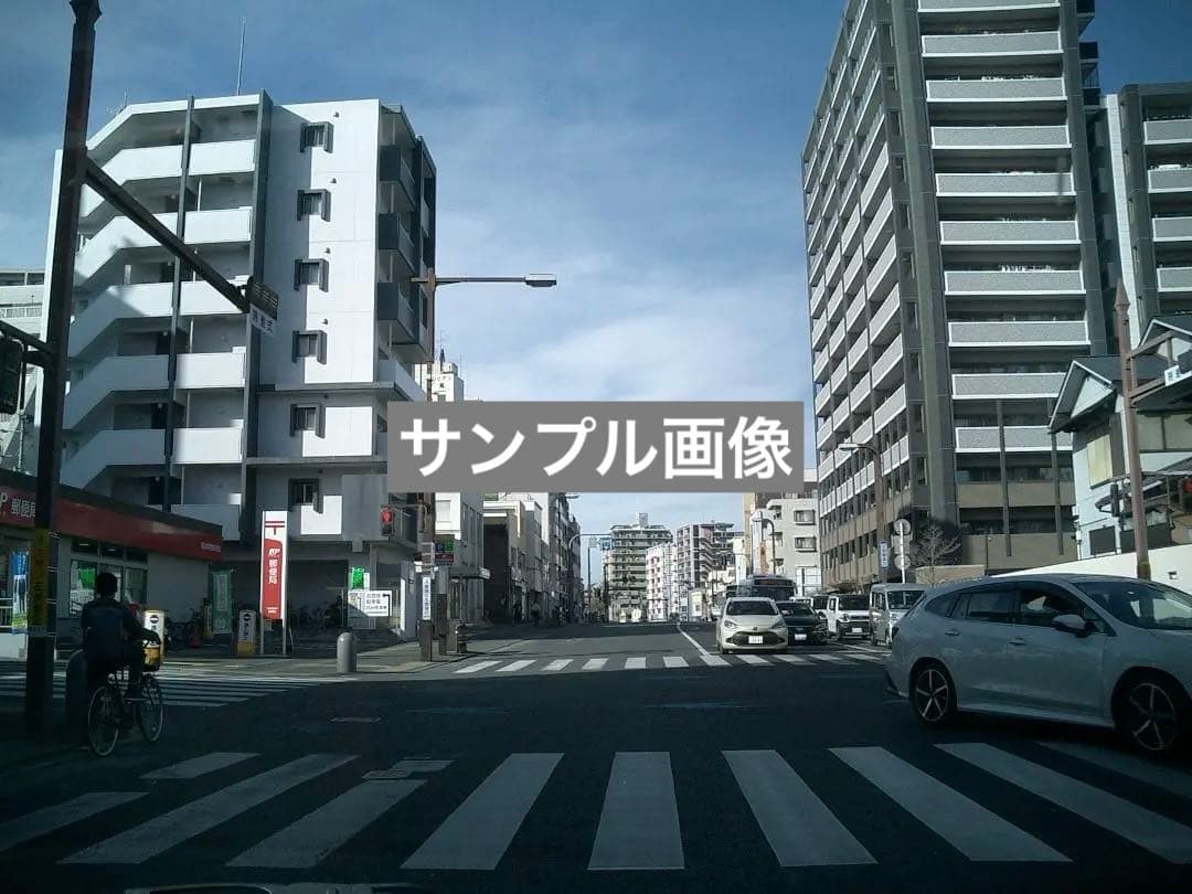 カシオ EXILIM EX-S3 デジカメ 超軽量 バッテリー新品 SD2GB