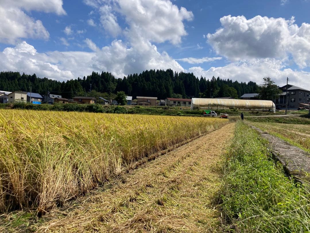 令和7年産魚沼コシヒカリ　玄米30kg