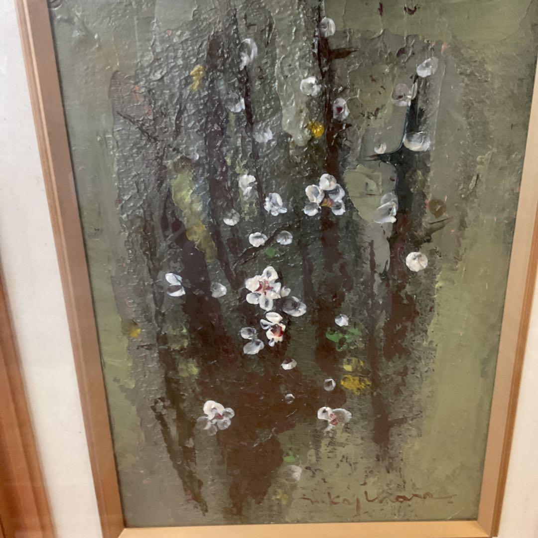 甘夏油彩画 花図 作品にサイン在 作者不詳 キャンバスのみ