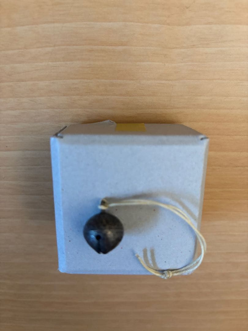 イソガワクミコ　銀鈴