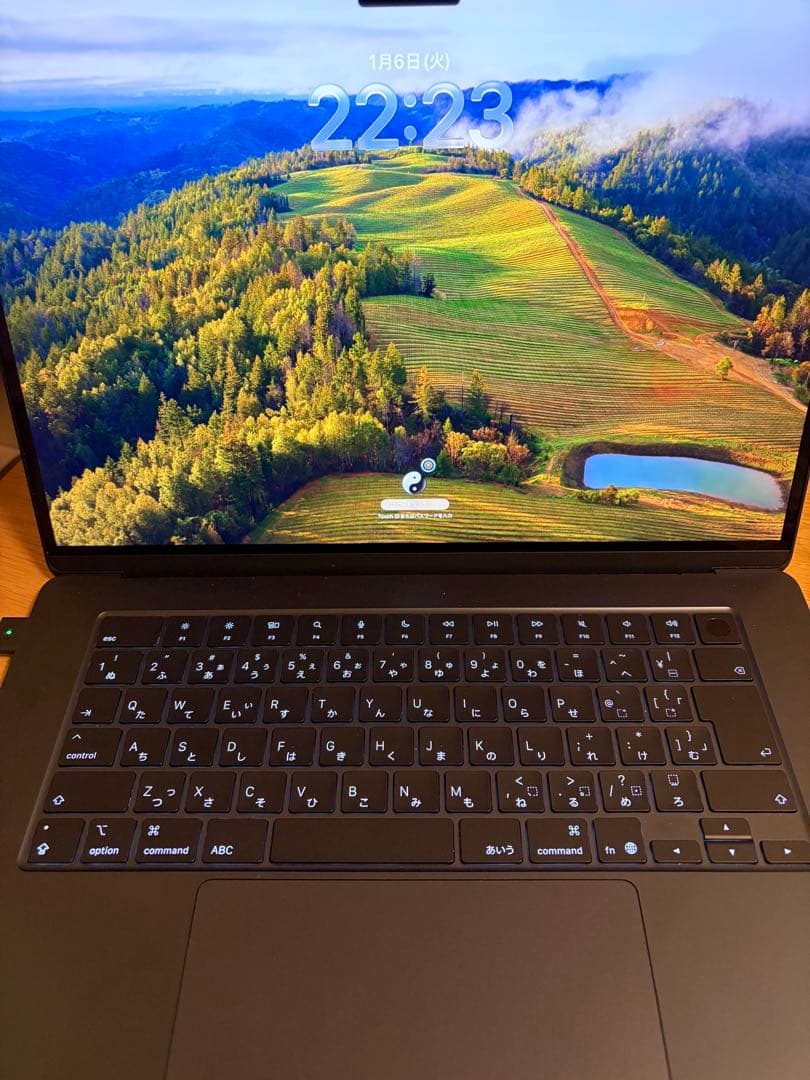 15インチ　MacbookAir 極美品　100% 256GB