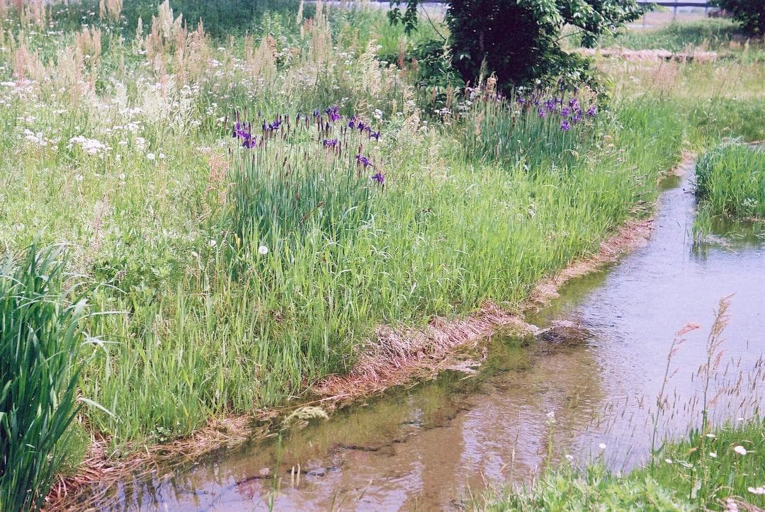 【実写確認整備品】キャノンVLボディーのみ