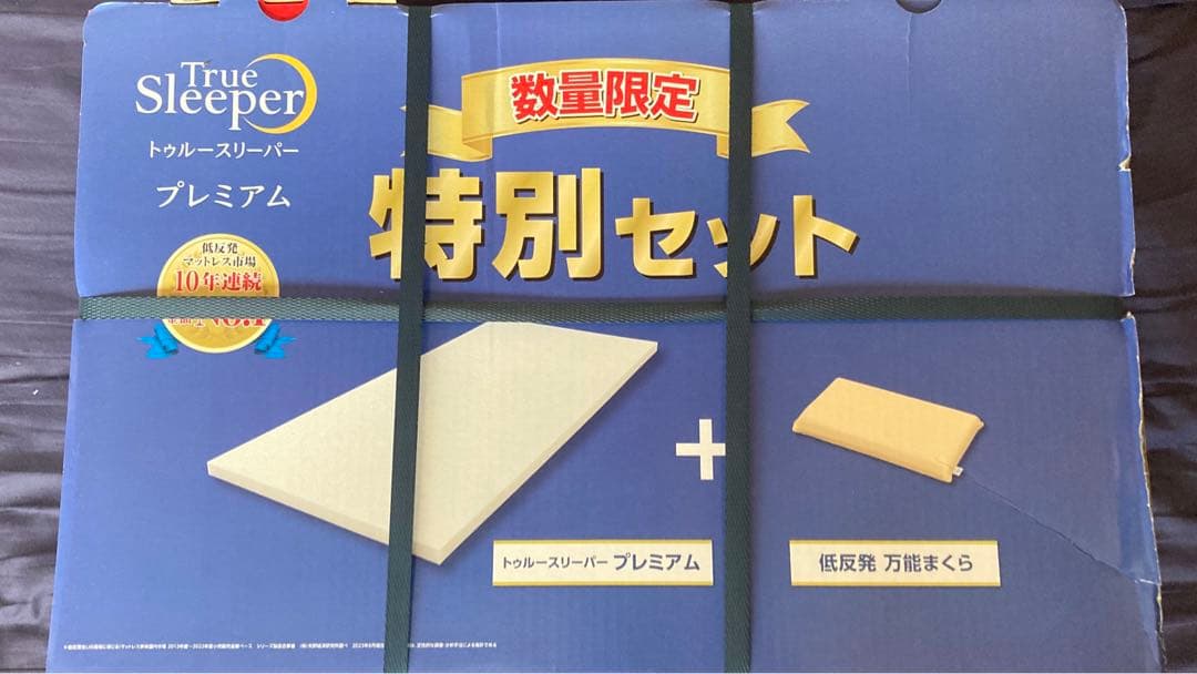 トゥルースリーパー　枕付き