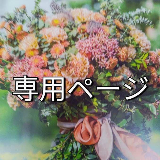 シンバ プロフ必見（感謝）/3