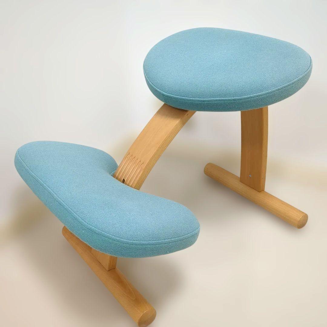 Rybo Balance Easy バランスイージー チェア　リボ社