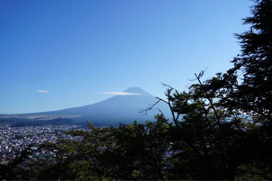 SONY VLOGCAM ZV-E10 (最安値)