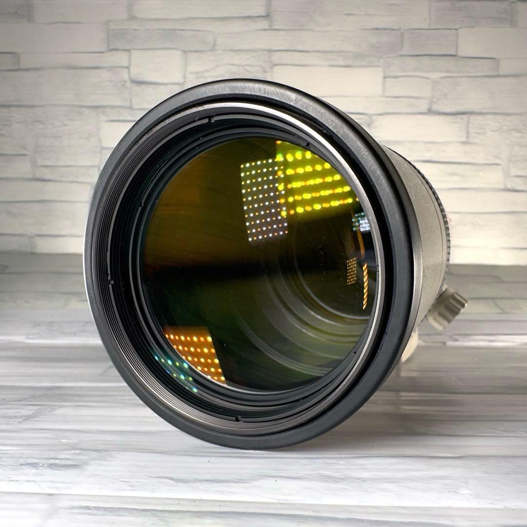 Canon EF400mm F5.6L 超望遠レンズ