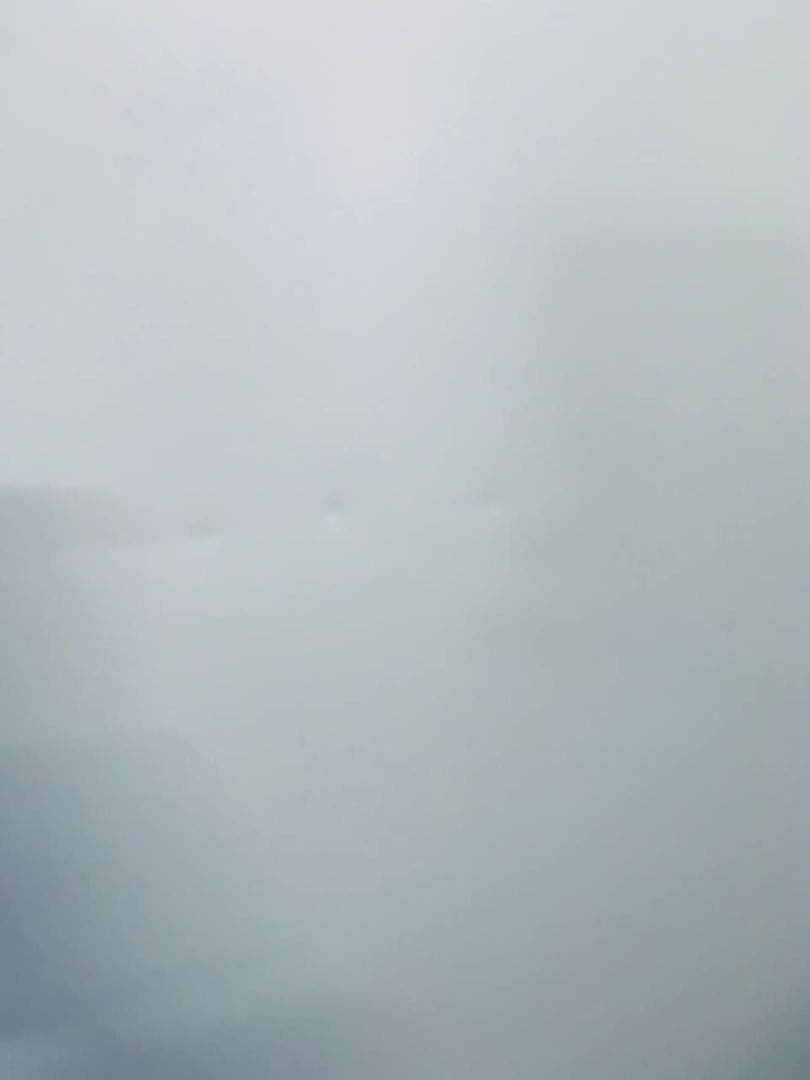 一✅SHARPノンフロン冷凍冷蔵庫✅送料設置無料 ✅SJ-GX50D-W✅