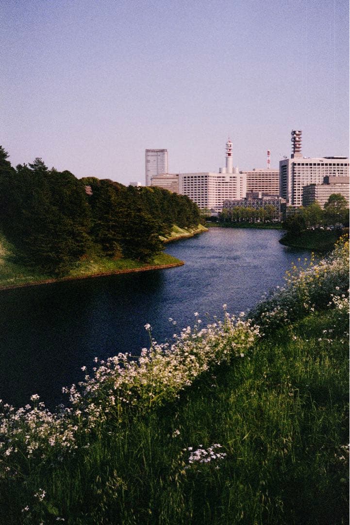 整備品希少 YASHICA ELECTRO 35 GL フィルムカメラ 実用美品